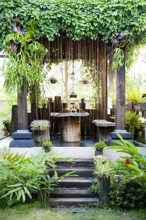 庭院设计当中，利用藤本植物来装饰花园，可以得到更好的空间感受